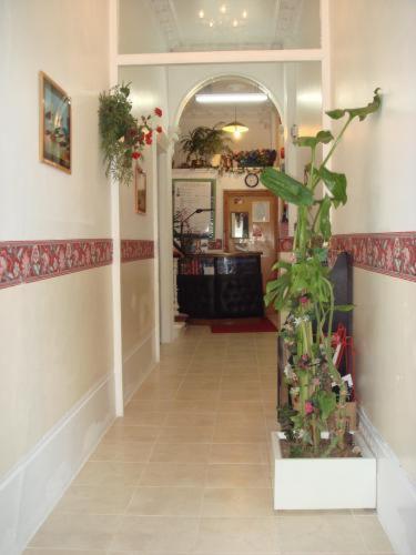 לונדון Regency Court Hotel מראה חיצוני תמונה
